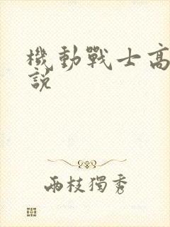 机动战士高达小说