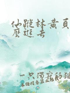 仙踪林黄页网怎么进去