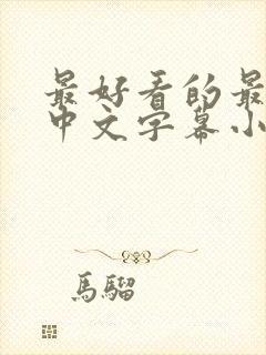 最好看的最新的中文字幕小说