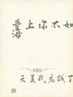 爱上你不如爱上海