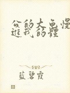 公的大龟慢慢挺进我的体