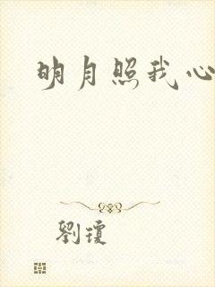 明月照我心小说