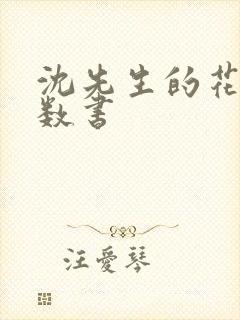 沈先生的花式调数书