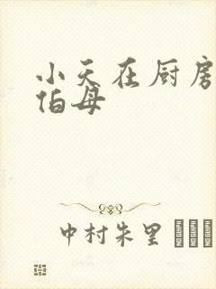 小天在厨房插杨伯母