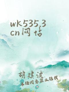 wk535.3cn网站