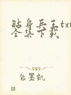 贴身兵王txt全集下载