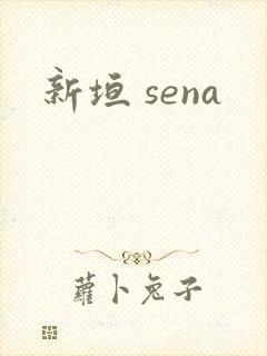新垣 sena