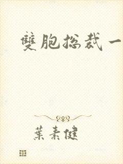 双胞总裁一个妻