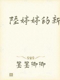 陆婷婷的新故事