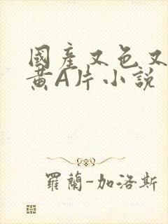 国产又色又爽又黄A片小说