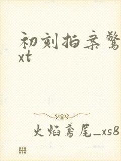 初刻拍案惊奇txt