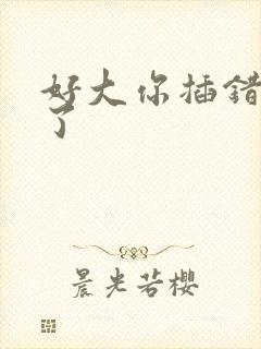 好大你插错地方了