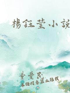 杨钰莹小说阅读