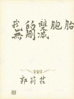 我的双胞胎老婆无删减