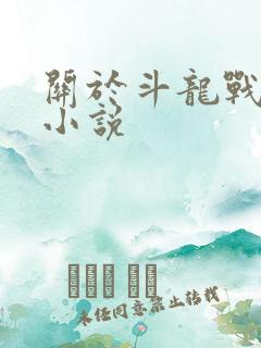 关于斗龙战士的小说