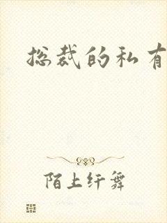 总裁的私有宝贝