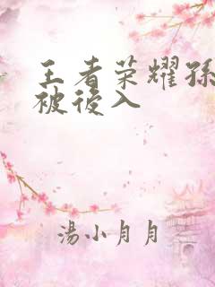 王者荣耀孙尚香被后入