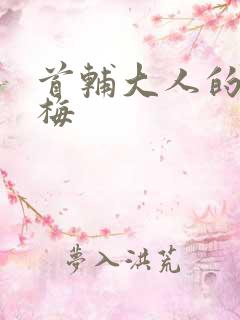 首辅大人的小青梅