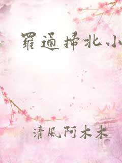 罗通扫北小说