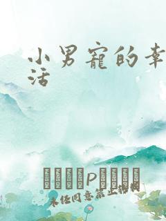 小男宠的幸福生活