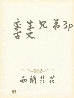 孪生兄弟3ph古文