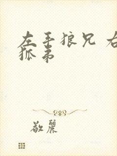 左手狼兄 右手狐弟