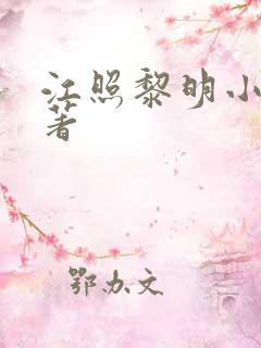 江照黎明小说原著