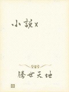 小说x