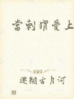 当刺猬爱上玫瑰