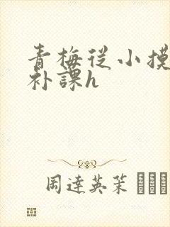 青梅从小摸到大补课h