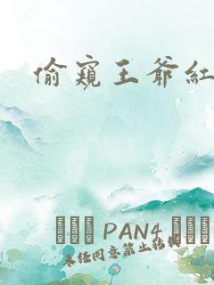 偷窥王爷红果果