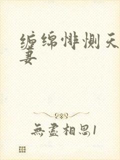 缠绵悱恻天价前妻