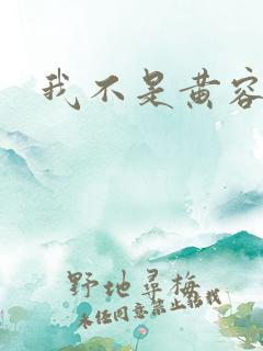 我不是黄容