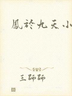 凤于九天小说