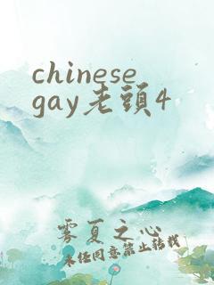 chinesegay老头4