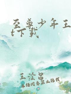 至尊少年王txt下载