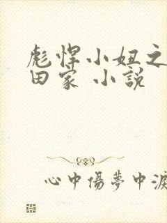 彪悍小妞之鱼水田家 小说