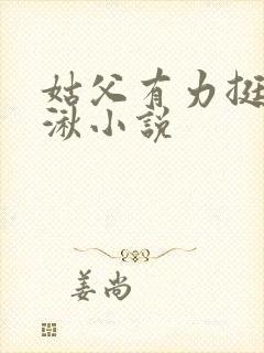 姑父有力挺送徐湫小说