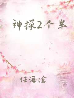 神探2个半