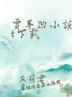 贾平凹小说txt下载