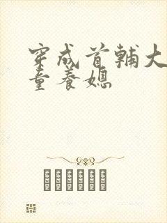 穿成首辅大人的童养媳