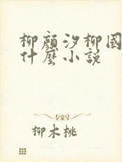 柳颜汐柳国安是什么小说