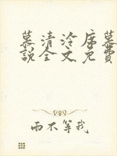 慕清泠席慕深小说全文免费阅读