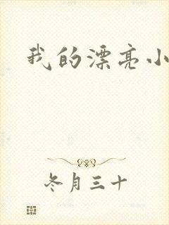 我的漂亮小后妈