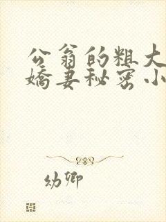 公翁的粗大放进娇妻秘密小说
