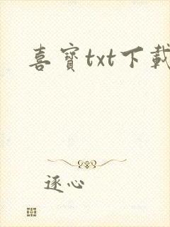 喜宝txt下载