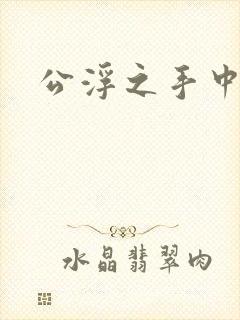 公浮之手中字5