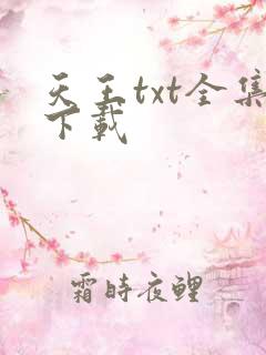 天王txt全集下载