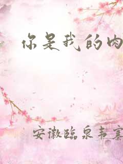 你是我的肉便器