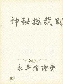 神秘总裁别玩我